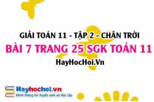 Bài 7 trang 25 Toán 11 tập 2 Chân trời sáng tạo